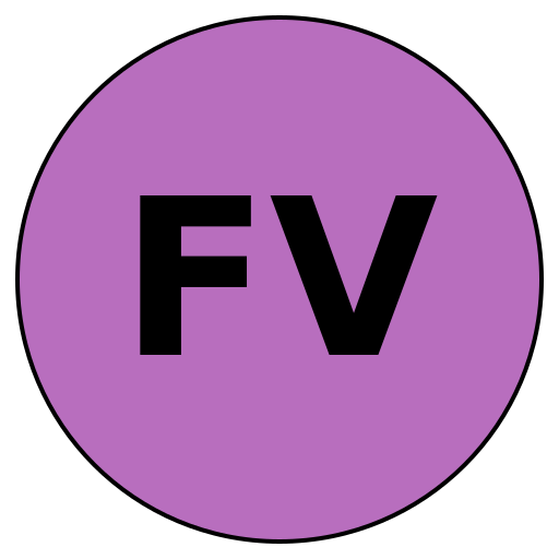 FitVision